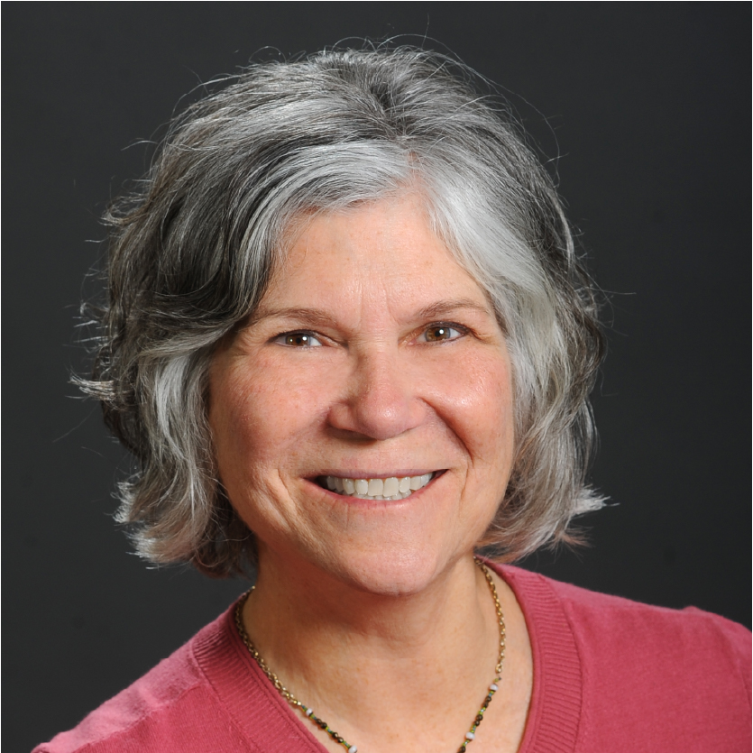 A smiling woman, Lenore DiFiore, with short, wavy gray hair wears a pink top and a gold necklace, posing in front of a dark background. Saint Joseph's College of Maine