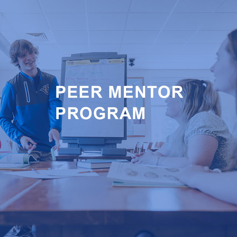 Peer Mentor Program