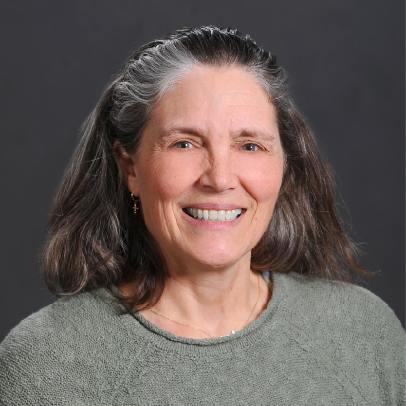 Smiling woman with shoulder-length gray and brown hair, wearing a green sweater, gold necklace, and small earrings, posed in front of a plain dark gray background. Saint Joseph's College of Maine - Dawn Strout