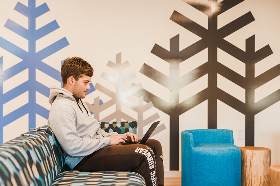 A person in a gray hoodie sits on a patterned couch using a laptop in a modern room with geometric tree designs on the wall and a blue chair nearby. Saint Joseph's College of Maine