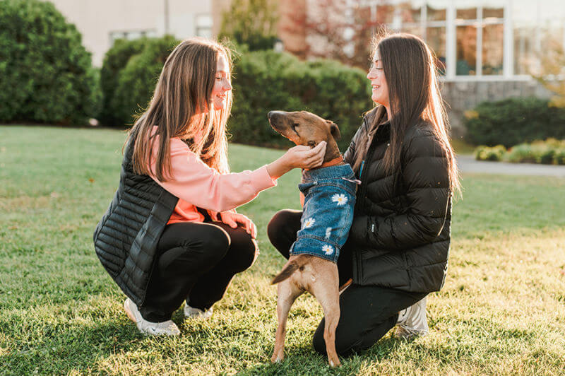 Social Science, Humanities, and Interdisciplinary Programs 9 Saint Joseph's College of Maine students pet a dog on campus.