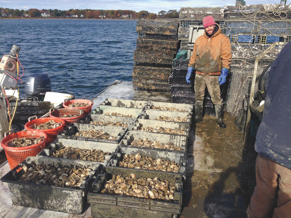 A fisherman stands on a boat surrounded by crates and baskets filled with freshly harvested oysters, with water and shoreline in the background, embodying the spirit of the long haul. Saint Joseph's College of Maine