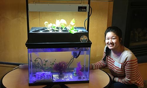 Saint Joseph's College CASE Scholars Win Award at Maine Water Challenge 2 nhu-vo-aquarium