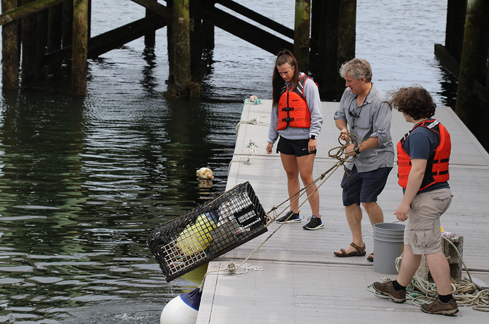 How an Invasive Species Can be Turned Into a Plus for Maine Lobsters 2 Steve Jury pulls a lobster trap from the ocean and students look on
