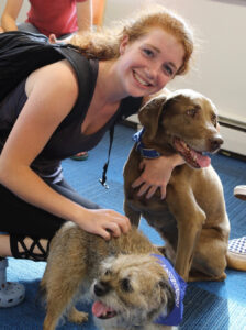 A person smiles while petting a brown dog. During Yappy Hour, another small, furry dog wearing a blue bandana is being petted in the foreground. Saint Joseph's College of Maine