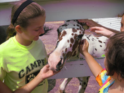 MSSPA camper pets horse