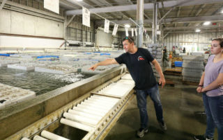 Saint Joseph’s College Of Maine Scientists Contribute To Unique Industry-Higher Education Lobster Research Collaboration 1 A man in a black shirt points at fish tanks inside a large industrial facility while discussing lobster research with two people standing nearby, highlighting the industry-higher education collaboration with Saint Joseph’s College. Saint Joseph's College of Maine