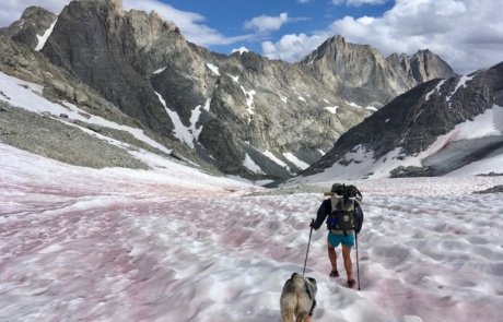 Wind River In Wyoming Effie and Luna hikes through snow towards large granite peaks.