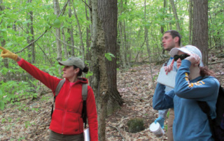 Into The Wild 2 Three people in outdoor gear are in a forest. One person is pointing, another is writing in a notebook, and the third is looking through binoculars. Trees and green foliage surround them as they venture "Into the Wild. Saint Joseph's College of Maine