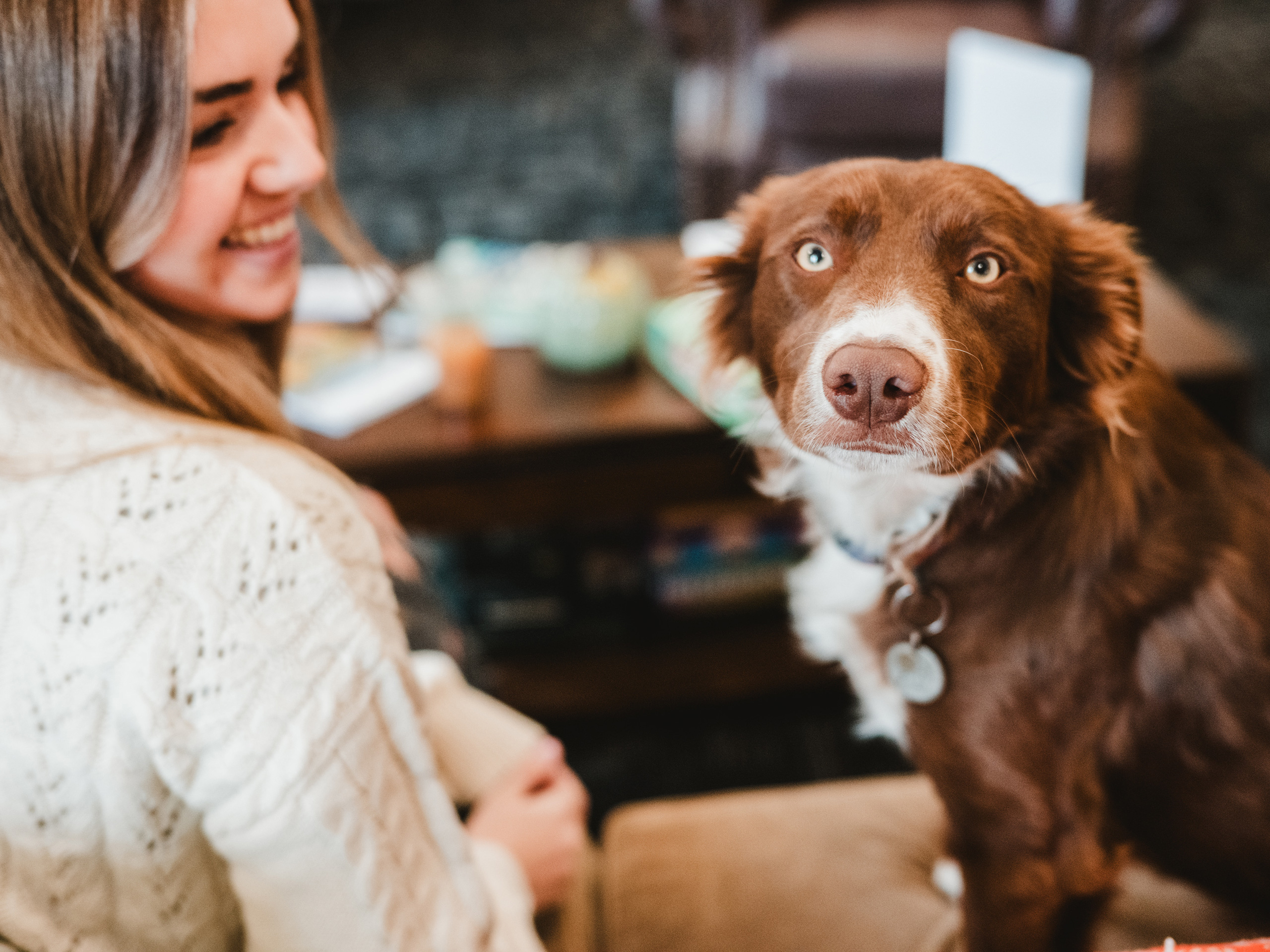 Student Life 2 Pet-friendly campus: student with a canine companion