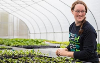 Pearson’s Town Farm Offers First Seedling Sale 2 A woman with glasses and a braid tends to seedlings in a greenhouse filled with rows of young plants, preparing for Pearson’s Town Farm's first seedling sale. Saint Joseph's College of Maine