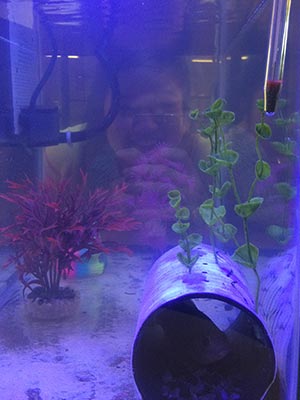 Water Challenge Aquarium Water Challenge Aquarium