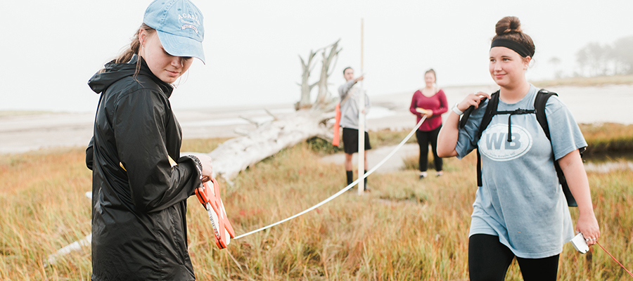 C-Science Four people, wearing casual outdoor clothing, conduct field measurements with a tape measure in a grassy, coastal area with fallen trees and distant shoreline visible in the background. Their work is part of redesigned study programs focusing on environmental assessment. Saint Joseph's College of Maine