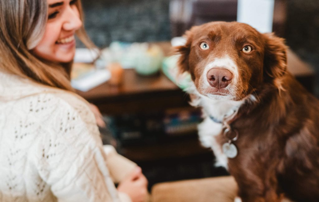 Student Life 5 Pet-friendly campus: student with a canine companion