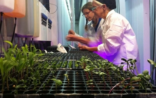The Future Of Farming 9 Two scientists in lab coats work with plants in a controlled environment, likely a research facility. One adjusts equipment while the other tends to the seedlings, showcasing the future of farming through their commitment to agricultural innovation. Saint Joseph's College of Maine