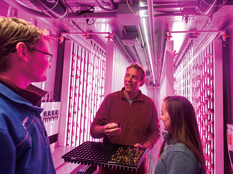 Institute for Local Food Systems Innovation 3 Professor Mark Green instructs a student in the hydroponic farm
