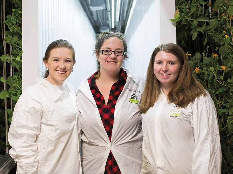 Institute for Local Food Systems Innovation 8 Student Trio Operates Freight Farm