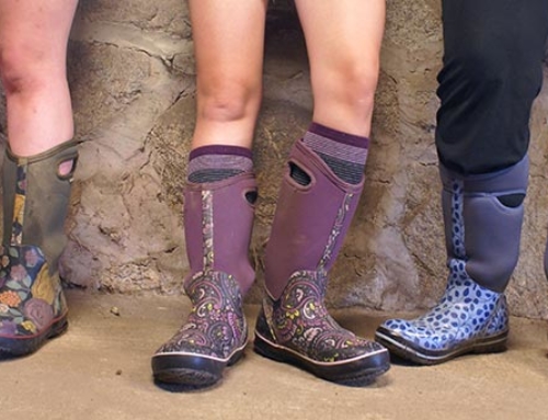 Mercy Farm and the Eco-Spiritual Practice