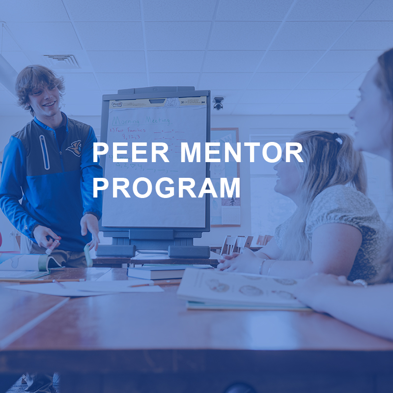 Academic Center For Excellence 11 Peer mentor program graphic