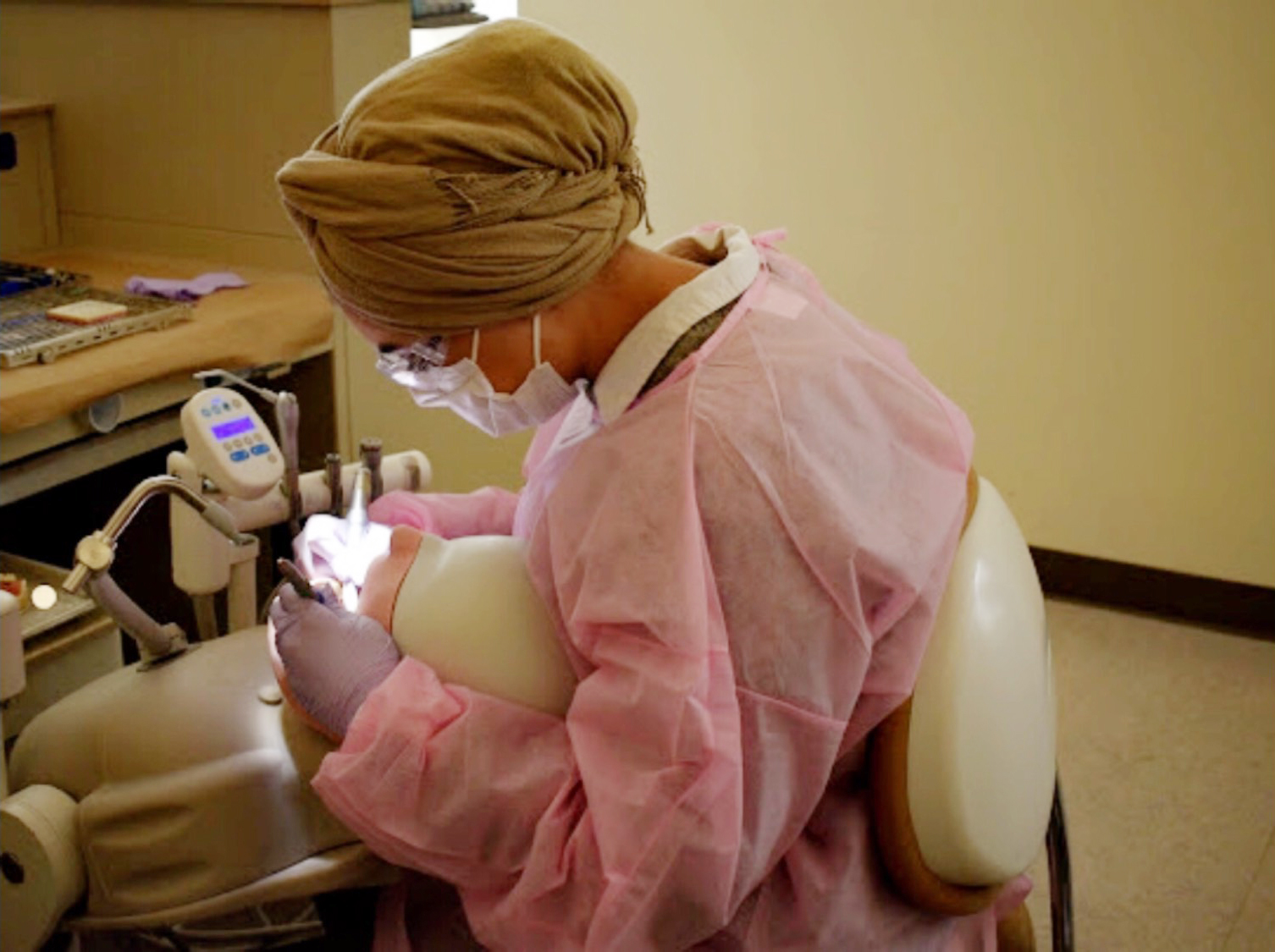 Pre-Dental Study pre-dental at Saint Joseph's College of Maine