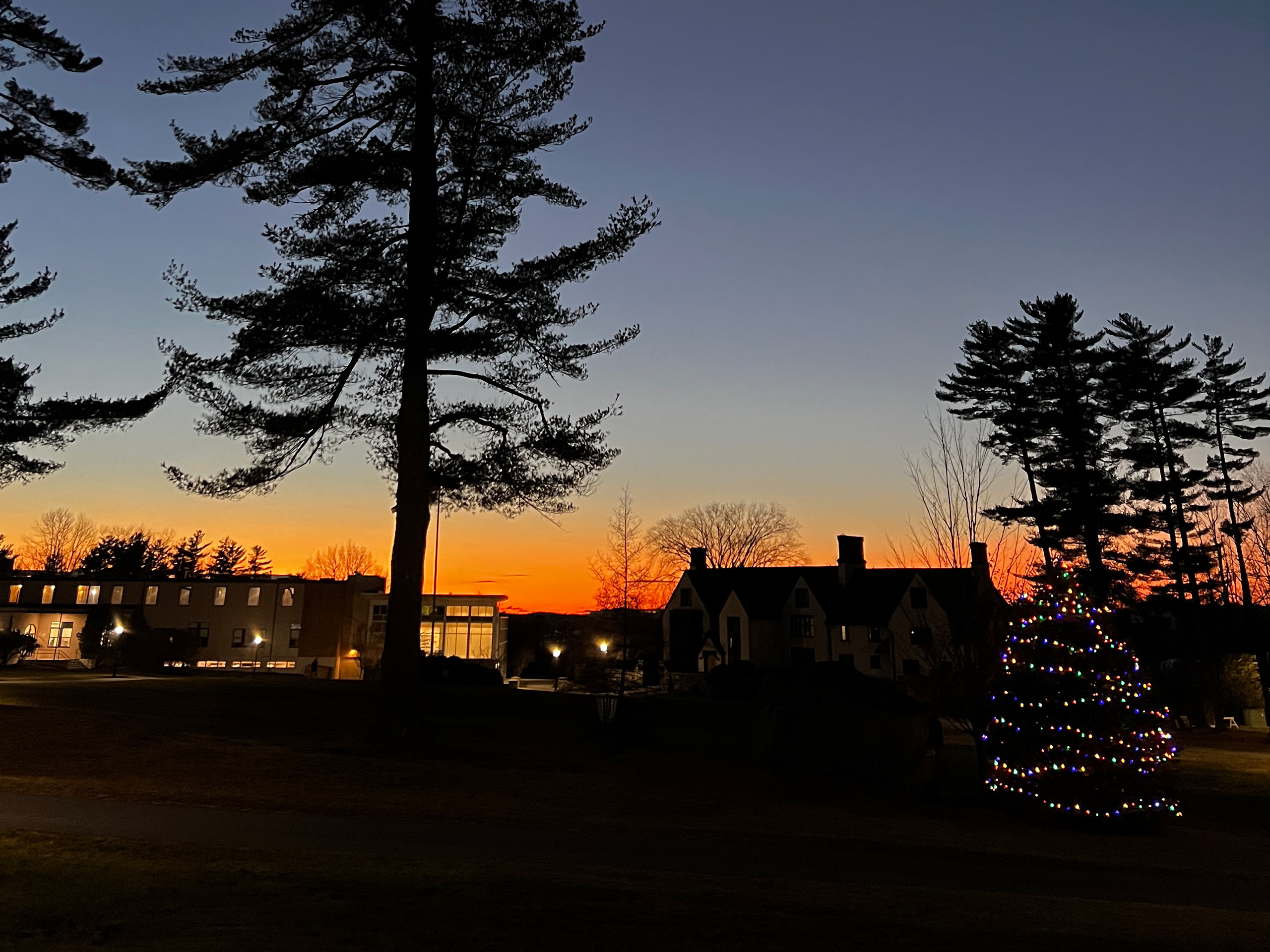 Tis-Season Campus light for the Christmas holiday