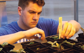 Tyler Barrows measuring seedling growth