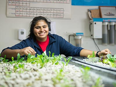 workforce-training A person smiles while tending to small plants growing in a hydroponic setup at the Institute for Local Food Systems Innovation. They are indoors in a room with various equipment and posters on the walls. Saint Joseph's College of Maine