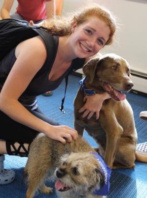 A person smiles while petting a brown dog. During Yappy Hour, another small, furry dog wearing a blue bandana is being petted in the foreground. Saint Joseph's College of Maine